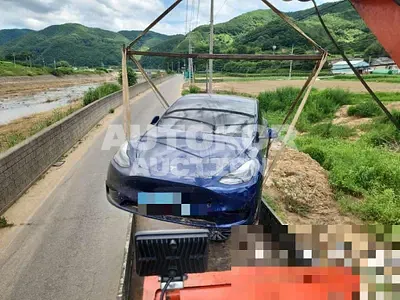 2024, Tesla / Model Y, electric