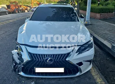 2022, Lexus / ES 300, VIN: JTHBA1C19N2008477, 32300 км., hybrid