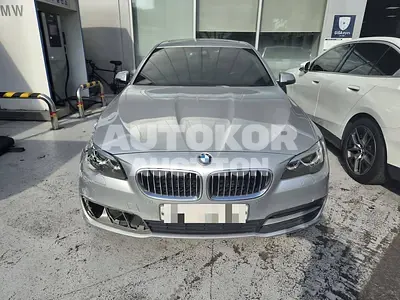 2015, BMW / 520, 161217 км., diesel, 1995 куб.см.