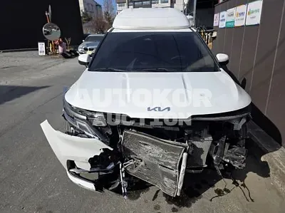 2023, Kia / Carnival, 55564 км., diesel, 2200 куб.см.