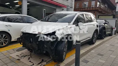 2020, Hyundai / Santa FE, VIN: KMHS281BBLU222431, diesel