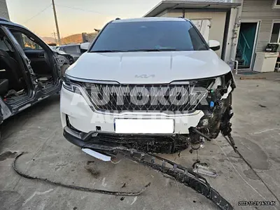 2023, Kia / Carnival, VIN: KNANC813BPS285023, 16134 км., gas