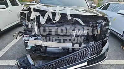 2025, Hyundai / Palisade, VIN: KMHRK81ADTU016407, hybrid, 2497 куб.см.
