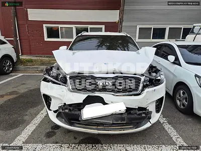 2019, Kia / Sorento, VIN: KNAPG81ADLA634591, 54014 км., diesel