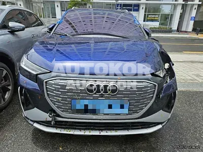 2023, Audi / e-tron, 17841 км., electric