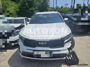 2022, Kia / Sorento, 19900 км., gas