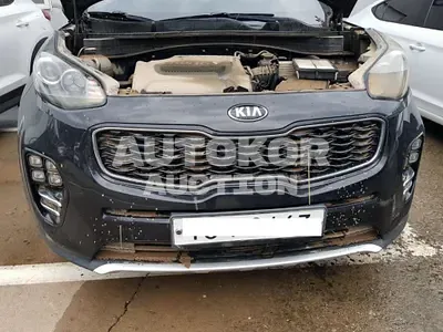 2017, Kia / Sportage, VIN: KNAPM813BHK286442, diesel
