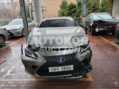 2019, Lexus / ES 300, VIN: 000JTHB21B19K2009, hybrid