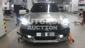 2019, MINI / Countryman, VIN: WMWYY5102K3G74871, 30000 км., diesel, 2000 куб.см.