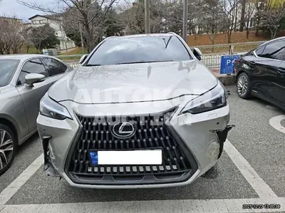 2024, Lexus / nx350h, 61135 км., hybrid