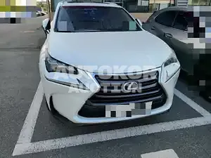 2017, Lexus / NX 300, VIN: JTJBJRBZ3H2071521, 51746 км., hybrid
