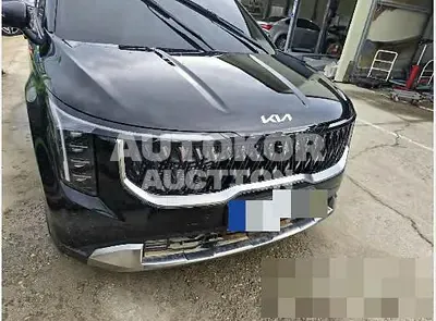 2025, Kia / Carnival, diesel, 2151 куб.см.