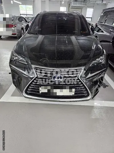 2018, Lexus / nx300h, 54560 км., hybrid