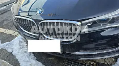 2016, BMW / 750, gas