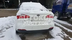 2015, BMW / Z1, VIN: KNAFK412BFA927712, 109147 км., gas
