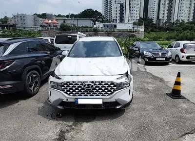 2021, Hyundai / Santa FE, VIN: KMHS281LGMU385620, 46074 км., gas