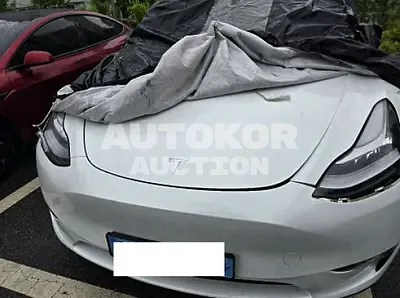 2022, Tesla / Model 3, VIN: 7SAYGDEE8NF422507, 25054 км., electric