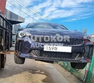 2019, Kia / Stinger, VIN: KNAE251ABLS079352, 65038 км., gas