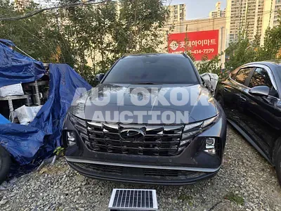 2021, Hyundai / Tucson, VIN: KMHJC81CBMU050733, 119511 км., diesel, 1998 куб.см.