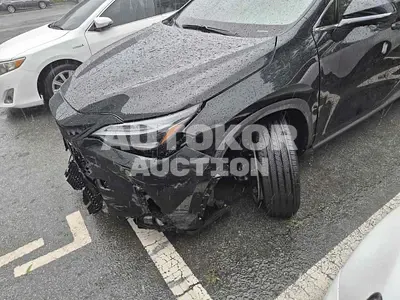 2023, Audi / 50, VIN: JTJHKAEZ0P2015796, hybrid