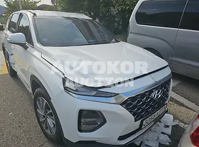 2020, Hyundai / Santa FE, VIN: KMHS281BBLU252014, 58000 км., diesel