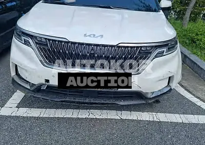 2022, Kia / Carnival, VIN: KNANC81BBNS140618, 11880 км., diesel