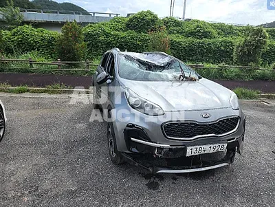 2019, Kia / Sportage, VIN: KNAPN813BKK556038, diesel, 1995 куб.см.