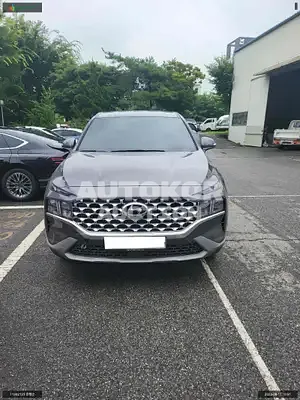 2020, Hyundai / Santa FE, VIN: KMHS281HGMU334862, diesel