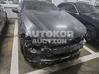 2020, BMW / 530, 93211 км., gas