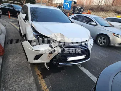 2019, Lexus / NX 300, VIN: JTJBJRBZ0K2124862, hybrid