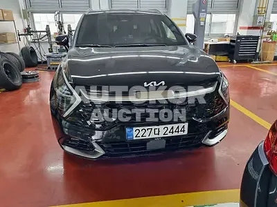 2022, Kia / Sportage, VIN: KNAPV81BHNK013882, 7893 км., gas