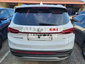 2020, Hyundai / Santa FE, VIN: KMHS281HHMU319305, diesel