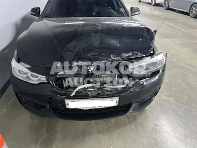 2016, BMW / 420, VIN: WBA4F1109GG606108, 166820 км., diesel, 1995 куб.см.