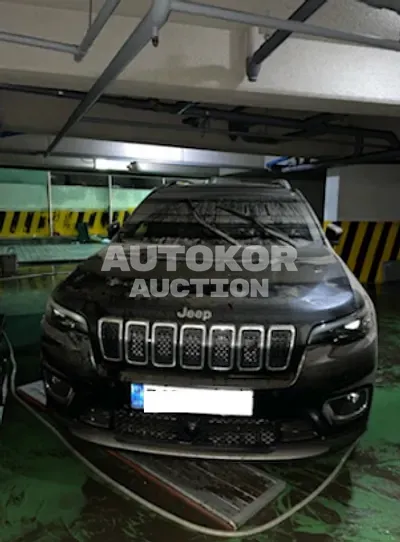 2021, Jeep / Cherokee, VIN: 1C4PJLDB1MD189412, 20000 км., gas