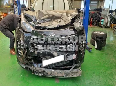 2016, Kia / Sportage, VIN: KNAPN813BGK006208, gas