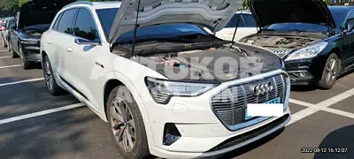 2020, Audi / e-tron, VIN: WAUZZZGE6LB029155, 41550 км., gas