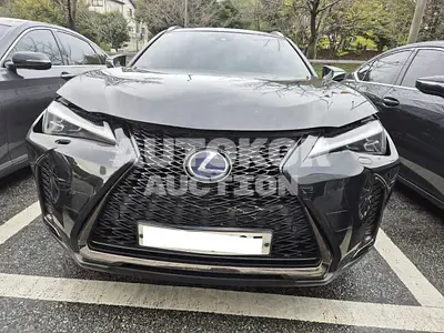 2021, Lexus / UX 250, VIN: JTHR6JBHXM2091138, hybrid