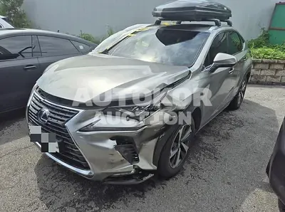 2018, Lexus / NX 300, 114139 км., hybrid