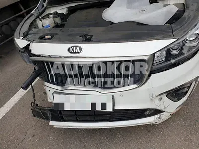 2019, Kia / Carnival, gas