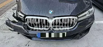 2021, BMW / 530, gas