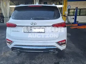 2019, Hyundai / Santa FE, VIN: KMHS581CDKU150496, diesel