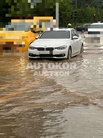 2017, BMW / 320, 78706 км., gas
