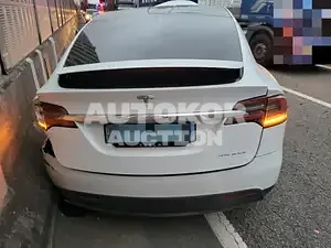 2020, Tesla / Model X, VIN: 5YJXCBE25LF293279, 25000 км., electric, 290 куб.см.