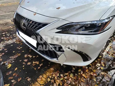 2024, Lexus / ES 300, VIN: JTHBA1C1XS2025364, hybrid