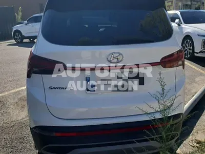 2020, Hyundai / Santa FE, VIN: KMHS381HGMU311705, 180000 км., diesel, 2200 куб.см.