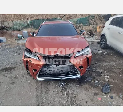 2019, Lexus / ux250h, 68035 км., hybrid