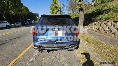 2023, Kia / Sorento, 20063 км., gas