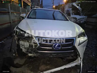 2015, Lexus / NX 300, VIN: JTJBJRBZ6F2015568, 154017 км., hybrid, 2494 куб.см.