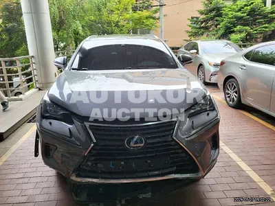 2021, Lexus / nx300h, 105653 км., hybrid