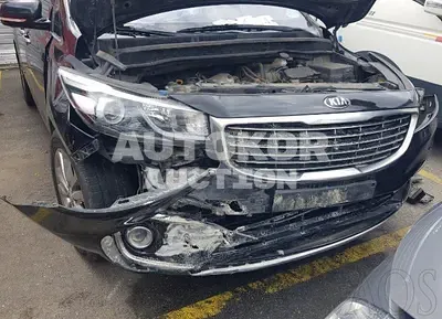 2016, Kia / Carnival, VIN: KNAME81ABGS175761, 222652 км., diesel